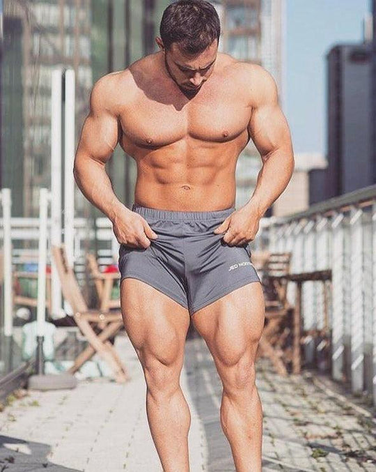 Agile Shorts - Gray Men Shorts Jed North